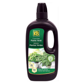 Concime liquido 'piante verdi' lt 1 Kb