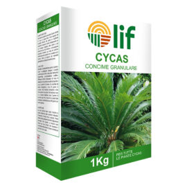 Concime granulare 'cycas' kg. 1 Lif