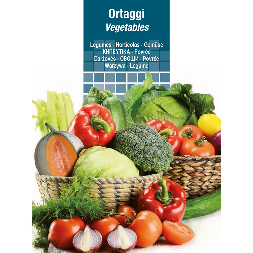 Semi per ortaggi e vegetali carciofo romano Sgaravatti