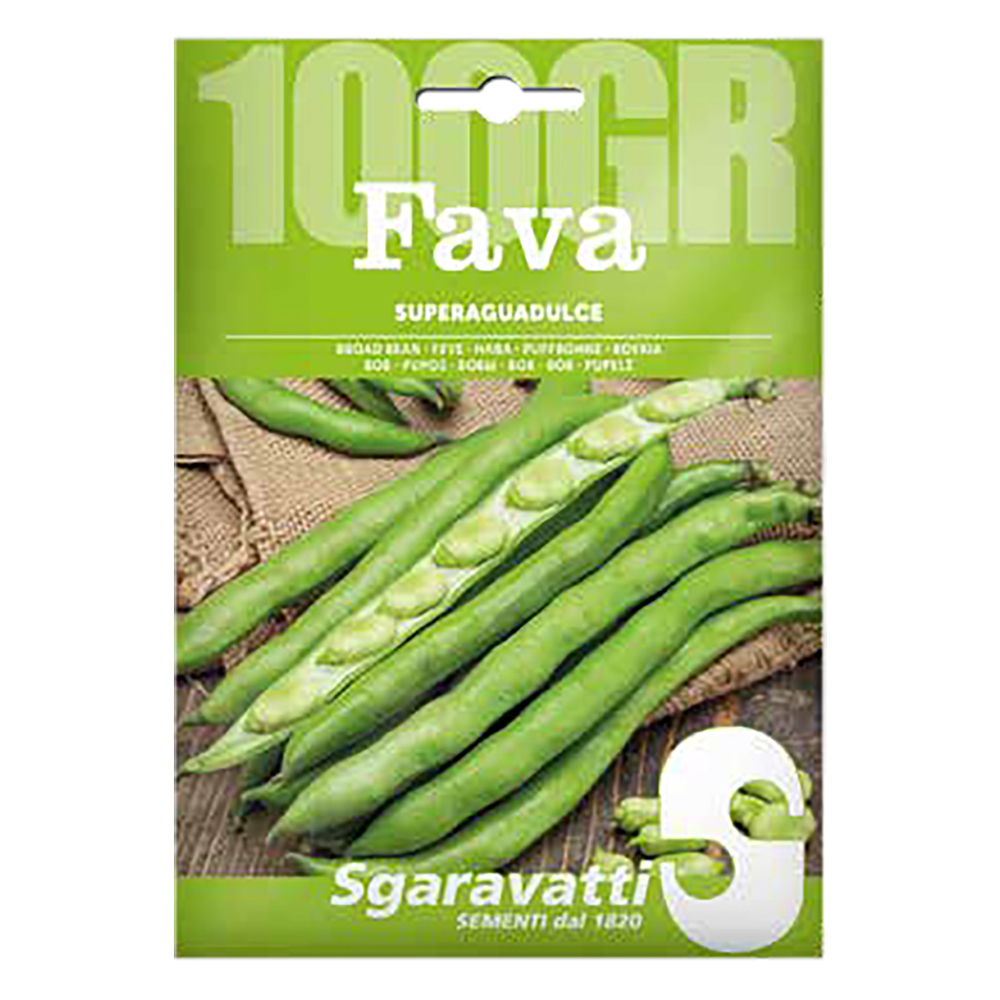 Semi per fave fava superaguadulce – gr 100 Sgaravatti