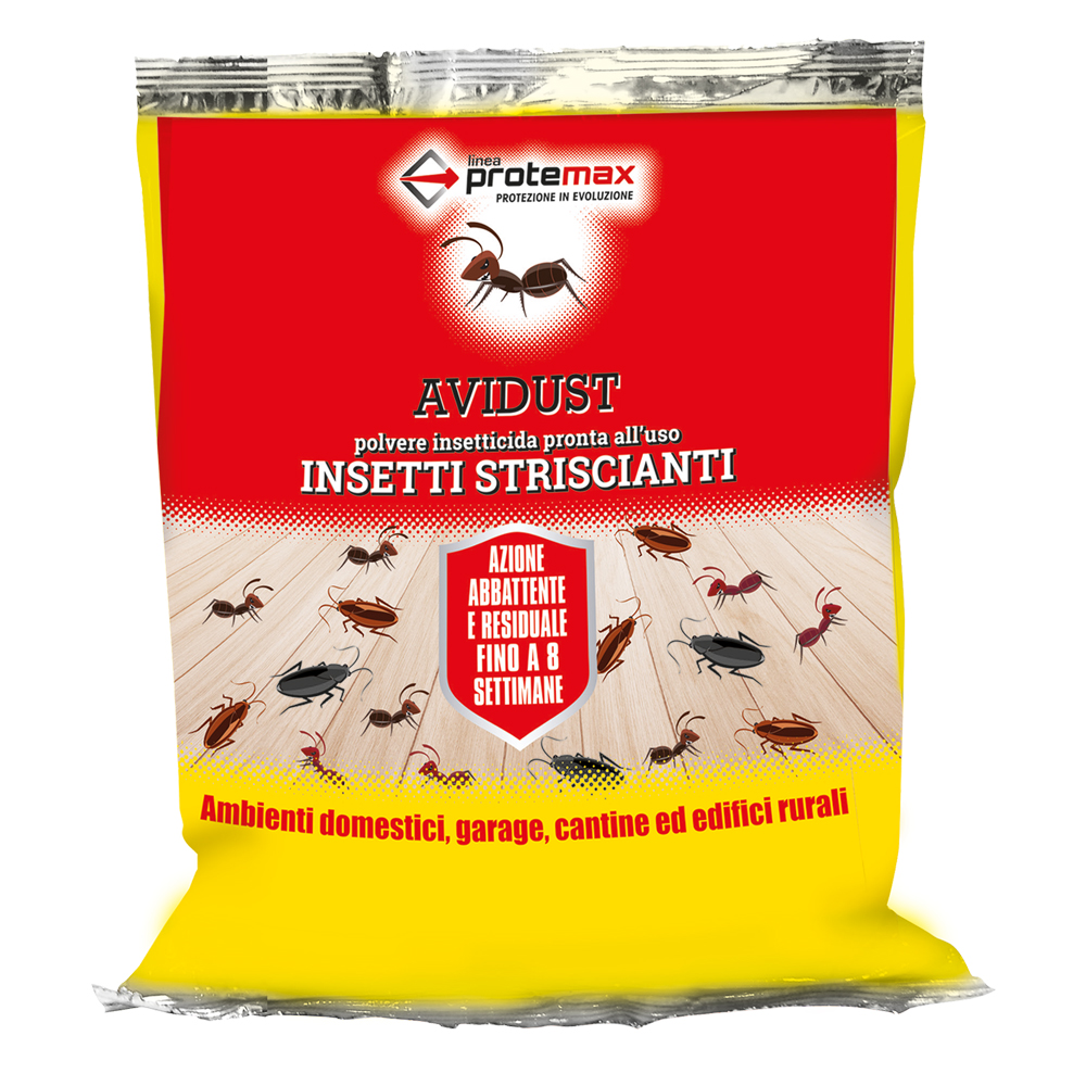 Insetticida in polvere kg 1 – busta Protemax