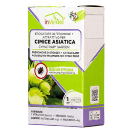 Erogatore di feromone per cimice asiatica in kit In verde